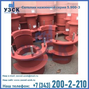 Сальники нажимные серия 5.900-3 в Миассе